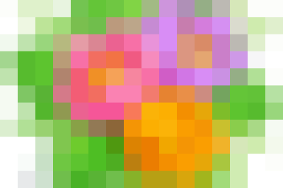 Trường THCS Ninh Thành long trọng tổ chức các hoạt động ngoại khoá: TỰ HÀO TRUYỀN THỐNG CHA ANH