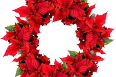 🎉 HỌC SINH TRƯỜNG THCS NINH THÀNH TỎA SÁNG TRONG KỲ THI HSG CẤP TỈNH NĂM HỌC 2025 – 2026 🌟